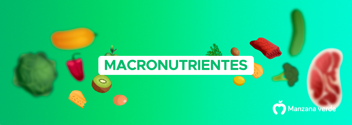¿Qué son los macronutrientes?