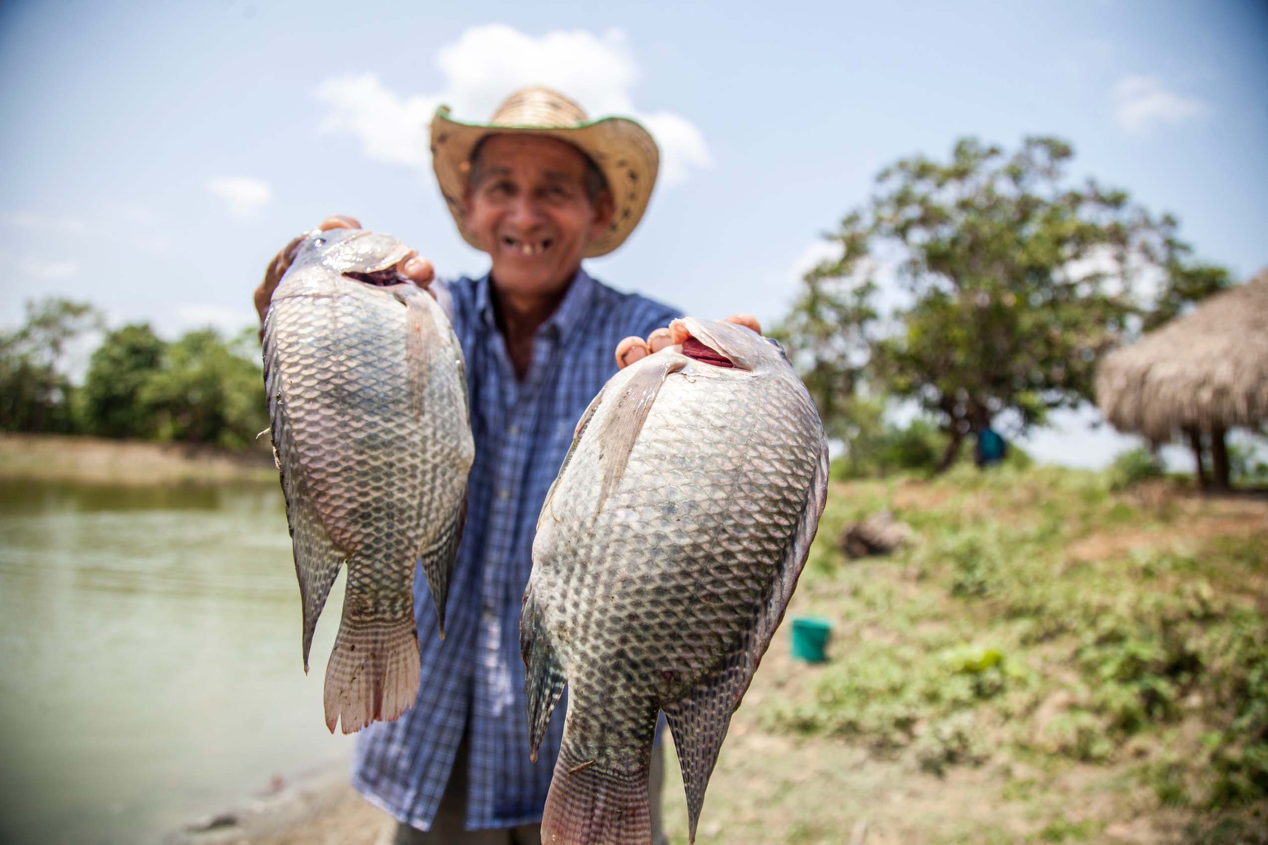 Platos colombianos con pescado