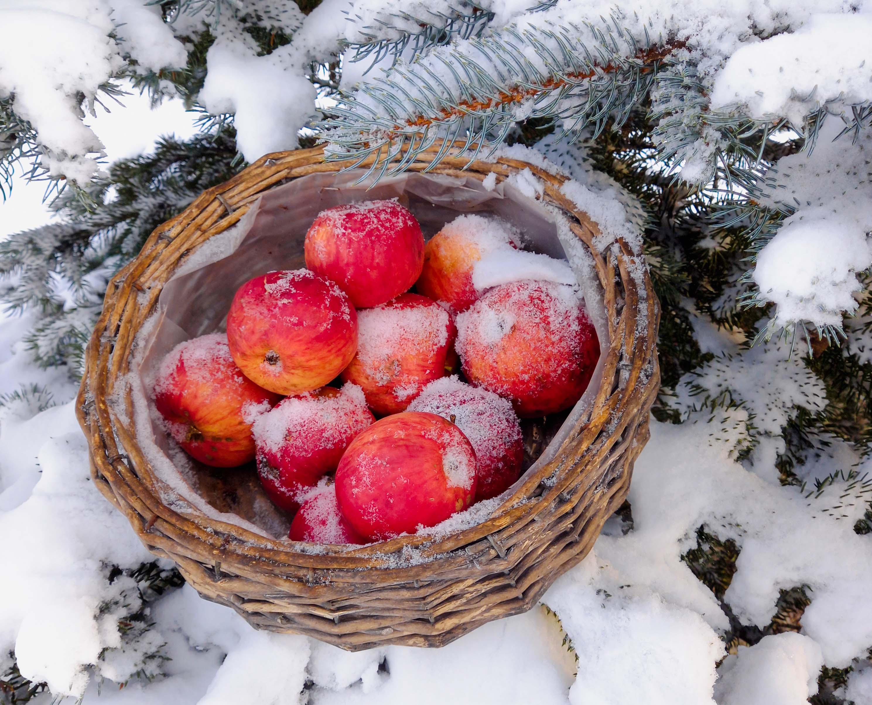 Frutas que puedes comer en invierno